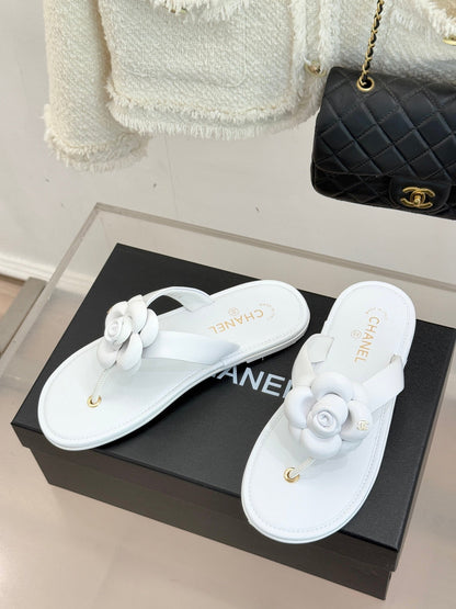 CC 26 Camellia Thong Sandal White Sheepskin 610002